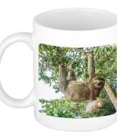 Dieren foto mok hangende luiaard luiaarden beker wit ml beeldje kopen