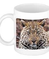Dieren foto mok jaguar jaguars beker wit ml beeldje kopen