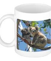 Dieren foto mok koala beer koalaberen beker wit ml beeldje kopen