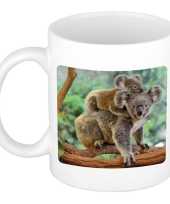 Dieren foto mok koala koalaberen beker wit ml beeldje kopen