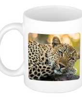 Dieren foto mok luipaard jaguars luipaarden beker wit ml beeldje kopen