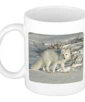 Dieren foto mok poolvos vossen beker wit ml beeldje kopen