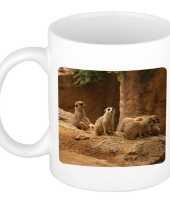 Dieren foto mok stokstaartje stokstaartjes beker wit ml beeldje kopen