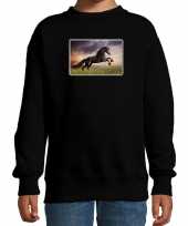 Dieren sweater trui paarden foto zwart kinderen beeldje kopen
