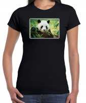 Dieren t-shirt pandaberen foto zwart dames beeldje kopen