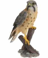 Dierenbeeld torenvalk vogel woondecoratie beeldje kopen