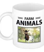 Geiten mok dieren foto farm animals beeldje kopen 10263794