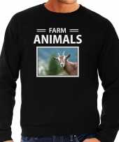 Geiten sweater trui dieren foto farm animals zwart heren beeldje kopen