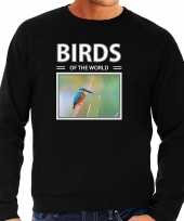 Ijsvogels sweater trui dieren foto birds of the world zwart heren beeldje kopen