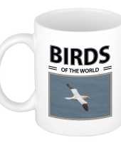 Jan gent vogels mok dieren foto birds of the world beeldje kopen