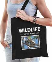 Koala tasje zwart volwassenen kinderen wildlife of the world kado boodschappen tas beeldje kopen