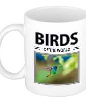 Kolibries mok dieren foto birds of the world beeldje kopen
