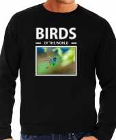 Kolibries vogel sweater trui dieren foto birds of the world zwart heren beeldje kopen 10265189
