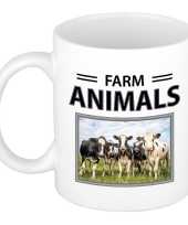 Kudde koeien mok dieren foto farm animals beeldje kopen