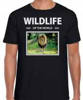 Leeuw t-shirt dieren foto wildlife of the world zwart heren beeldje kopen