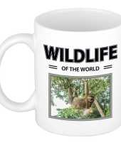 Luiaard mok dieren foto wildlife of the world beeldje kopen 10263752