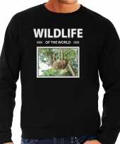 Luiaard sweater trui dieren foto wildlife of the world zwart heren beeldje kopen