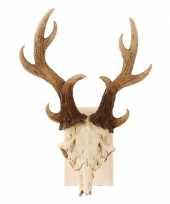 Namaak herten schedel decoratie gewei beeldje kopen