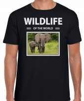 Olifant t-shirt dieren foto wildlife of the world zwart heren beeldje kopen 10264286