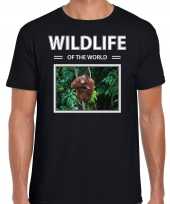 Orang oetan aap t-shirt dieren foto wildlife of the world zwart heren beeldje kopen