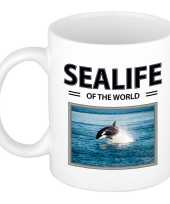 Orka mok beker dieren foto sealife of the world beeldje kopen