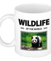 Panda mok dieren foto wildlife of the world beeldje kopen