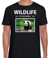 Panda t-shirt dieren foto wildlife of the world zwart heren beeldje kopen