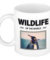 Pinguin mok dieren foto wildlife of the world beeldje kopen