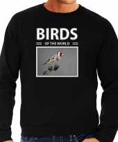 Putters vogel sweater trui dieren foto birds of the world zwart heren beeldje kopen