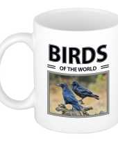Raven mok dieren foto birds of the world beeldje kopen