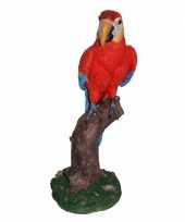 Rood beeldje papegaai kopen