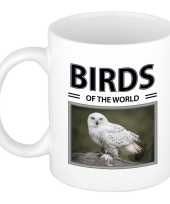 Sneeuwuilen mok dieren foto birds of the world beeldje kopen