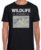 Sneeuwvos t-shirt dieren foto wildlife of the world zwart heren beeldje kopen