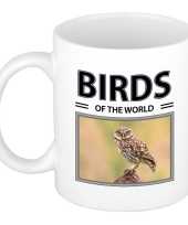 Steenuilen mok dieren foto birds of the world beeldje kopen