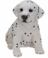 Stenen dalmatier puppy zittend beeldje kopen