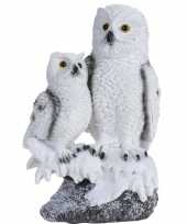 Witte uil kindje boomstam beeldje decoratie type kopen