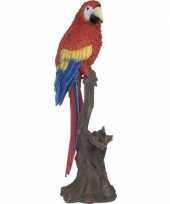 Woonaccessoires groot rode ara papegaaien beeld beeldje kopen