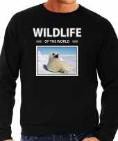 Zeehond sweater trui dieren foto wildlife of the world zwart heren beeldje kopen