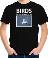 Zilvereigers vogel t shirt dieren foto birds of the world zwart kinderen beeldje kopen