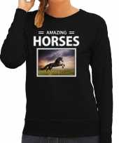 Zwarte paarden sweater trui dieren foto amazing horses zwart dames beeldje kopen