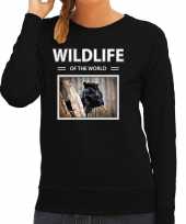 Zwarte panter sweater trui dieren foto wildlife of the world zwart dames beeldje kopen